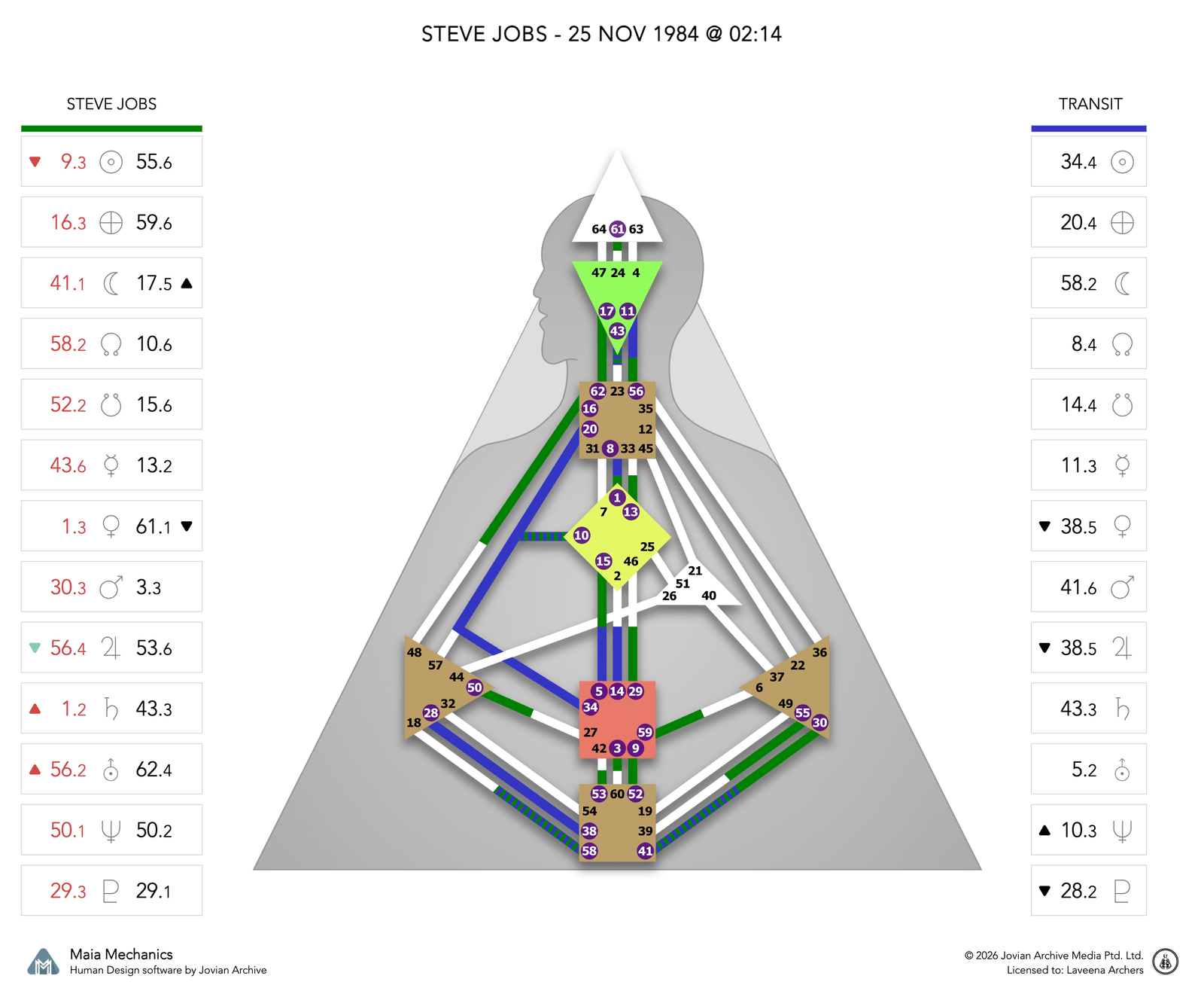 Steve Jobs's Saturn Return chart